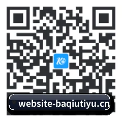 系统版 iOS 二维码